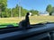 2018 Jeep All-New Wrangler Unlimited Unlimited Sport S